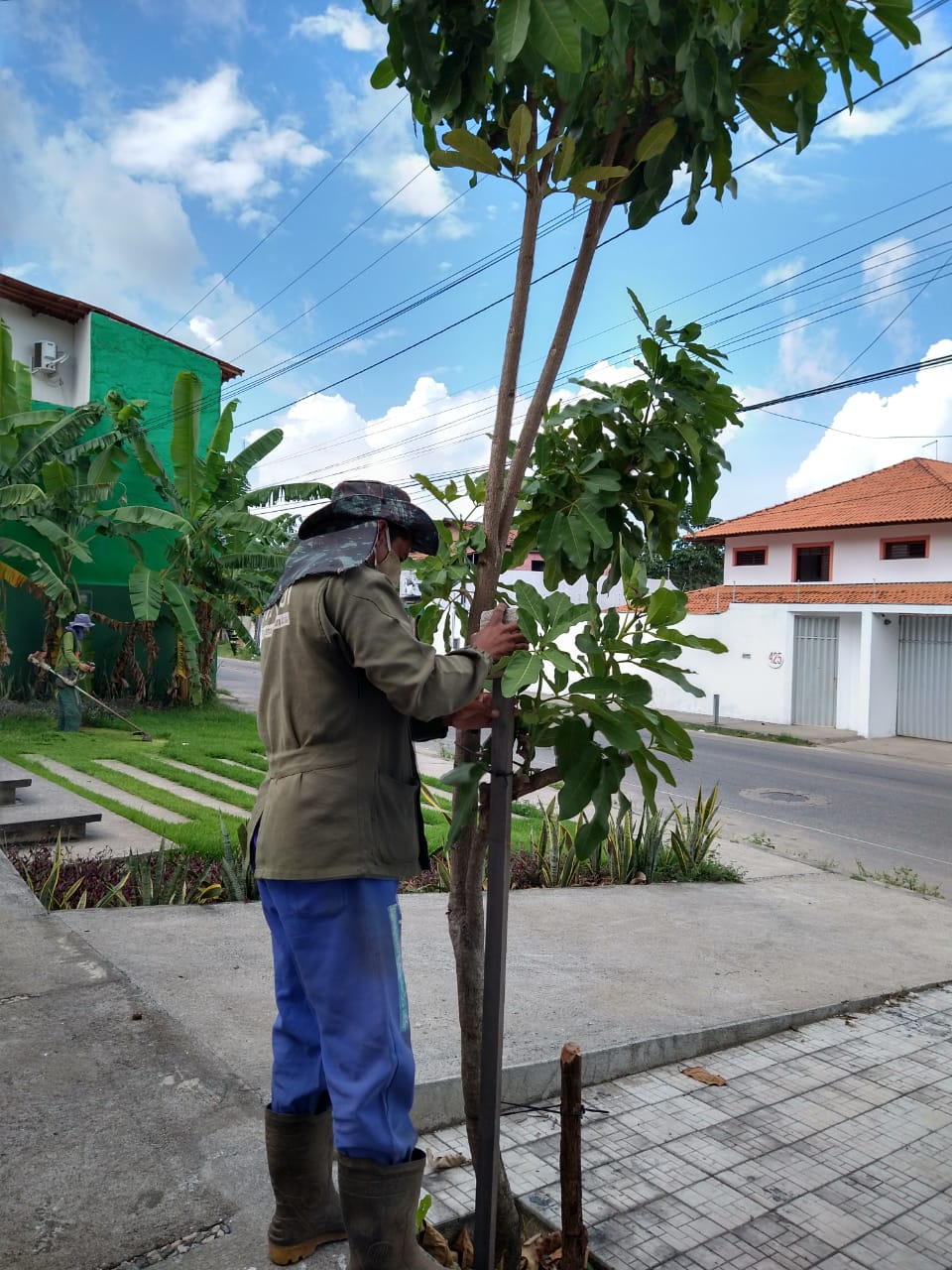 Jardim residencial com gramado e flores